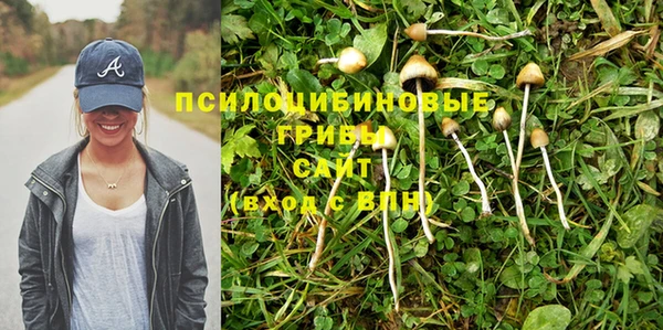 марихуана Белокуриха